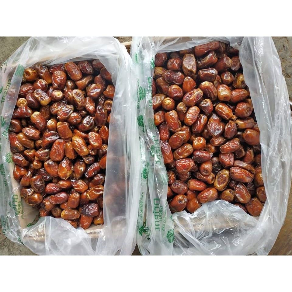 

Kurma Madu MESIR /Kurma mesir GOLDEN VALLEY curah kemasan thinkwall 1kg Produk Baru