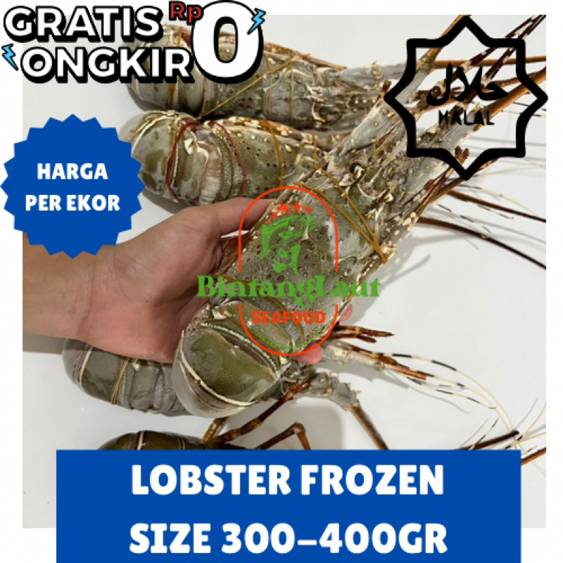 

LOBSTER FRESH FROZEN