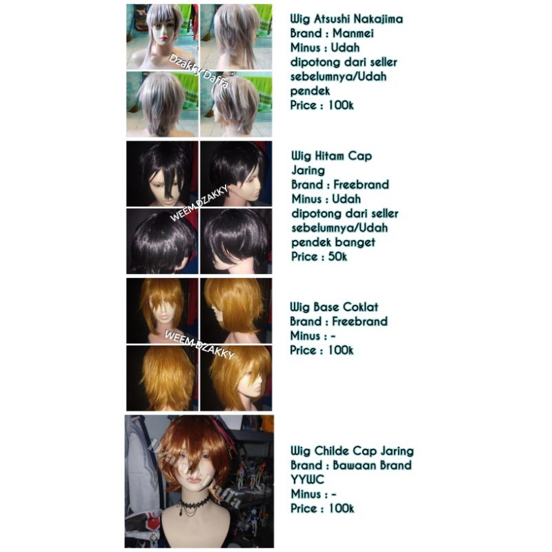 Wig Cosplay Preloved/Second
