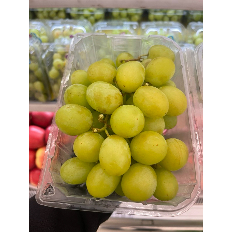 Anggur autumn crispy premium fresh 500gram