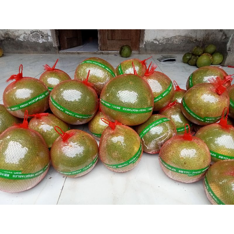 (10) BUAH JERUK PAMELO MADU MURIA