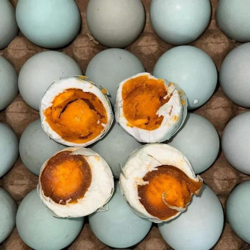 

Telur Asin Omega Masir Kukus Isi 10 Butir