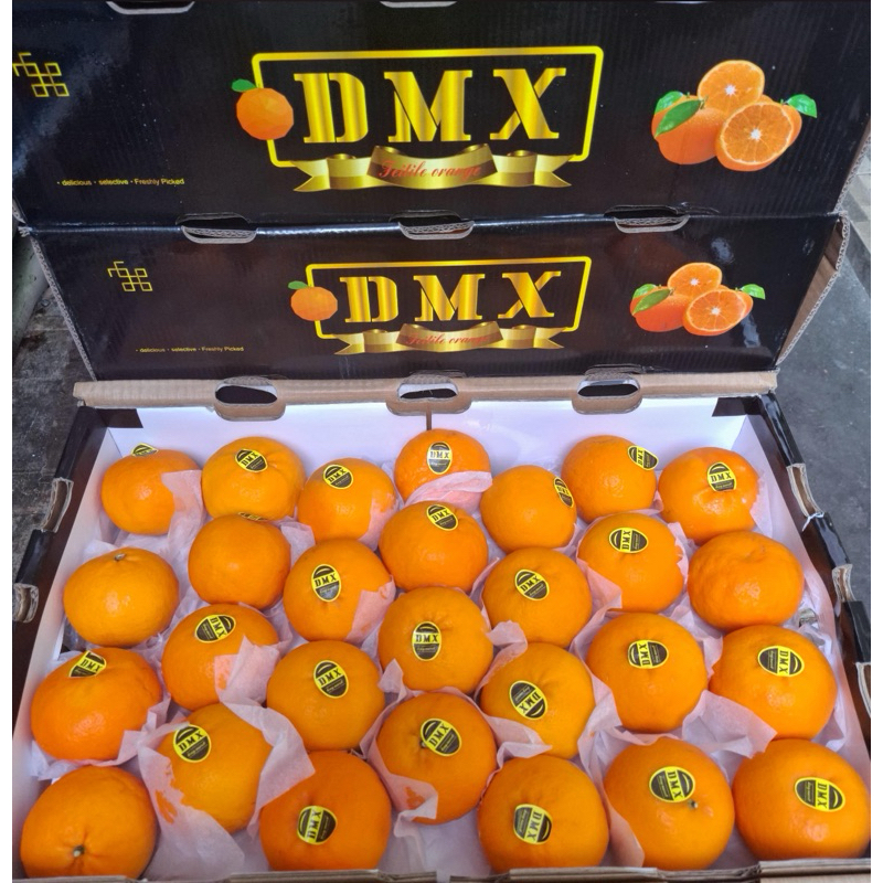 

JERUK WOKAM DMX 1 DUS BESAR 9 KG MANIS