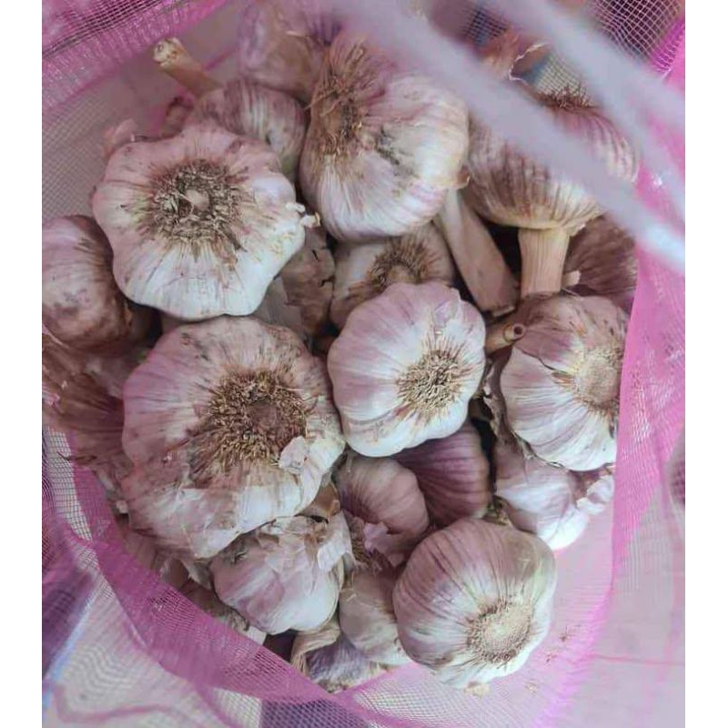 

bawang putih sinco 1/2 kg