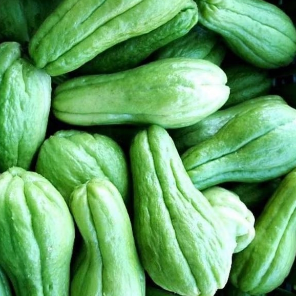 

Labu Siam Kecil 500 gr