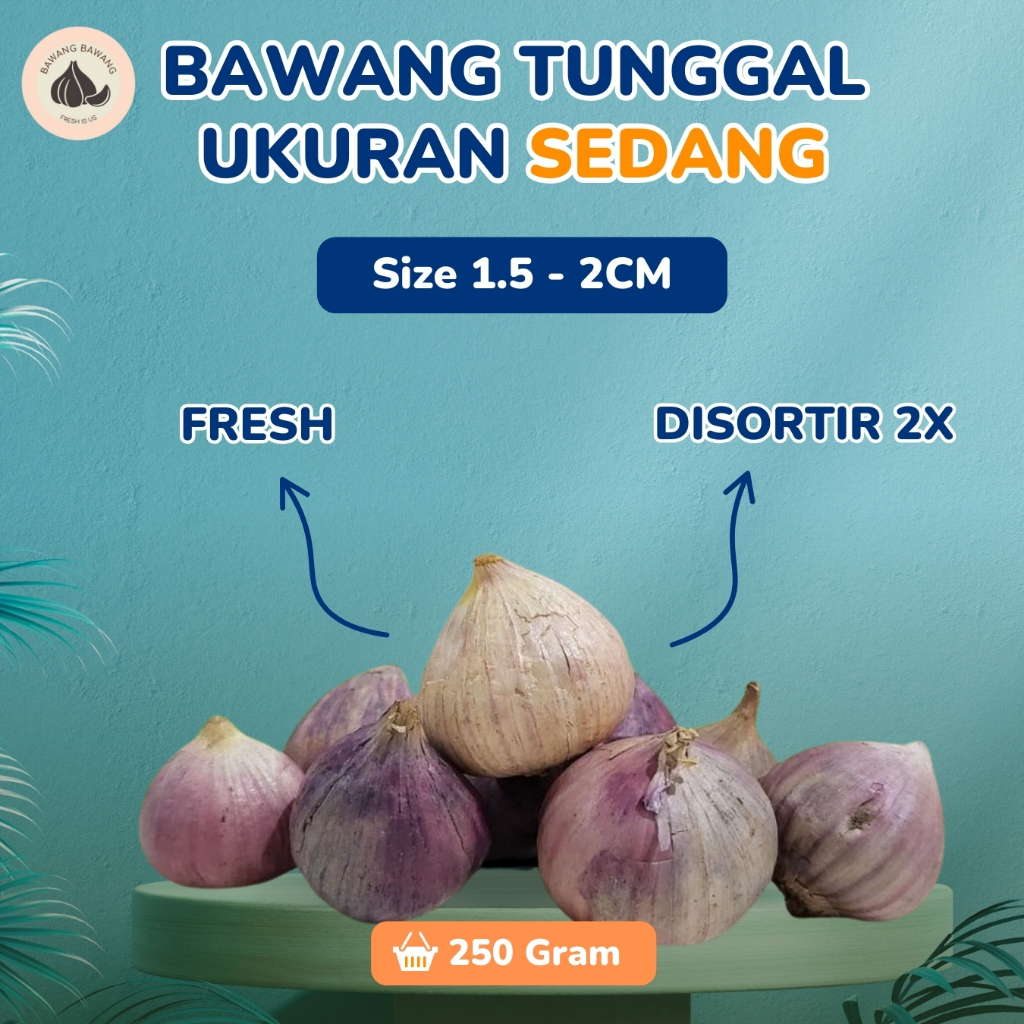 

Bawang Putih Tunggal Lanang SEDANG 1.5-2 CM 250 Gram