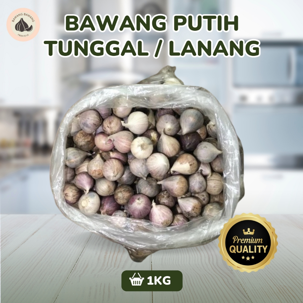

RB Bawang Putih Tunggal Lanang Jamin Bagus Dan Fresh Mini Size 1 Cm 1KG / 500 GR