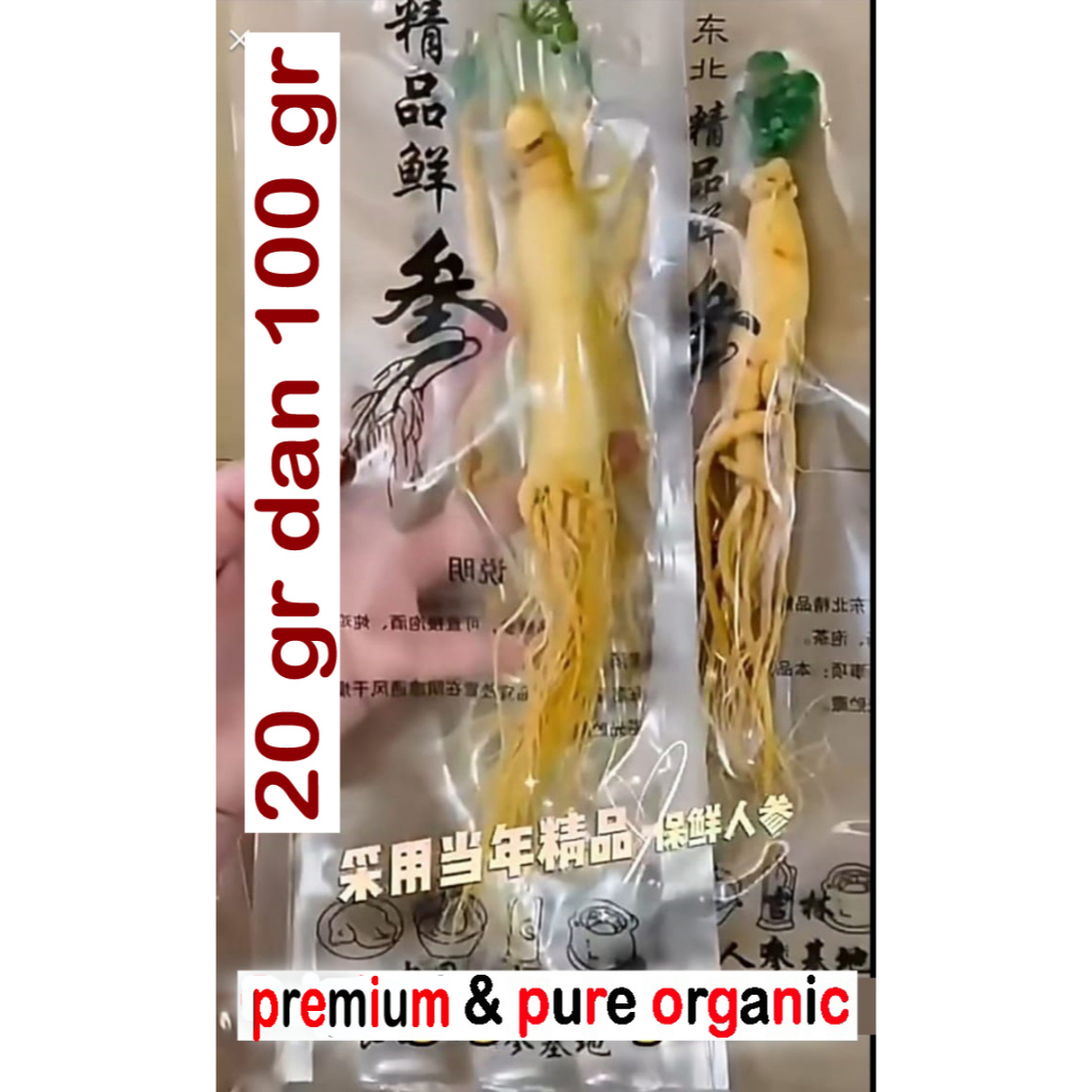 

Ginseng Murni Segar Organic 20 gr dan 100 gr / sido muncul obat herbal sari kunyit vco billbery carrot d1000
