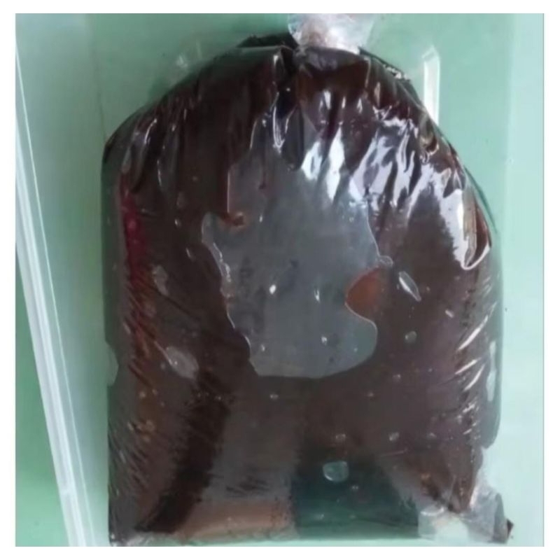 

1Kg PETIS HITAM MANIS MADURA ASLI KHAS MADURA KEMASAN 1KILO 1KG 1 KILO