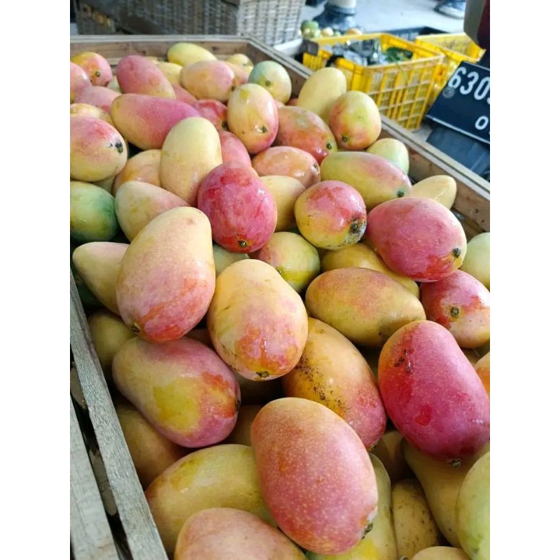 

mangga podang