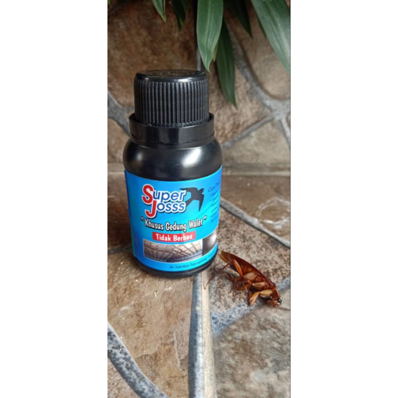 Super Josss Obat Hama Burung Walet tidak Berbau