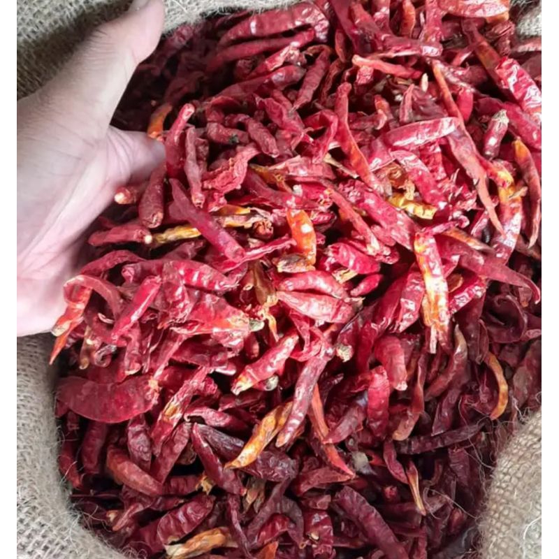 

ready kemasan (( 1.kg CABE RAWIT KERING KUALITI "MEDIUM" )) CABE RAWIT TEJA IMFOR PEDAS