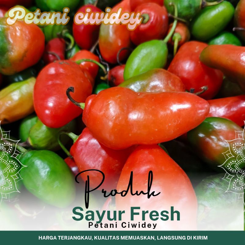 

CABE GENDOT MERAH 5 ONS SEGAR PEDAS DAN MURAH