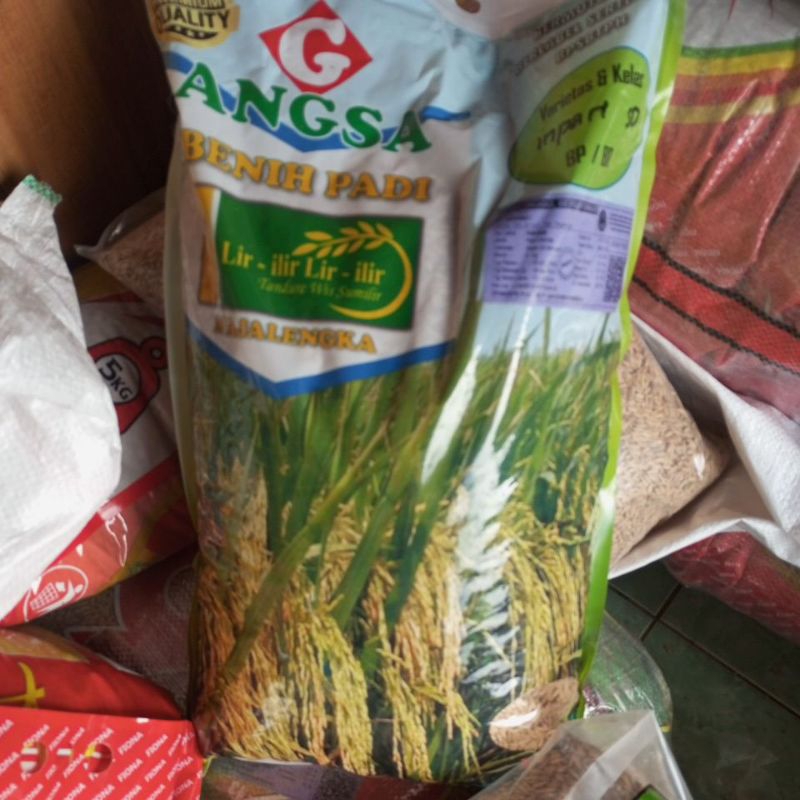 Benih padi inpari 50 marem