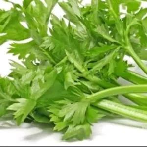 

Daun Seledri Per Pack