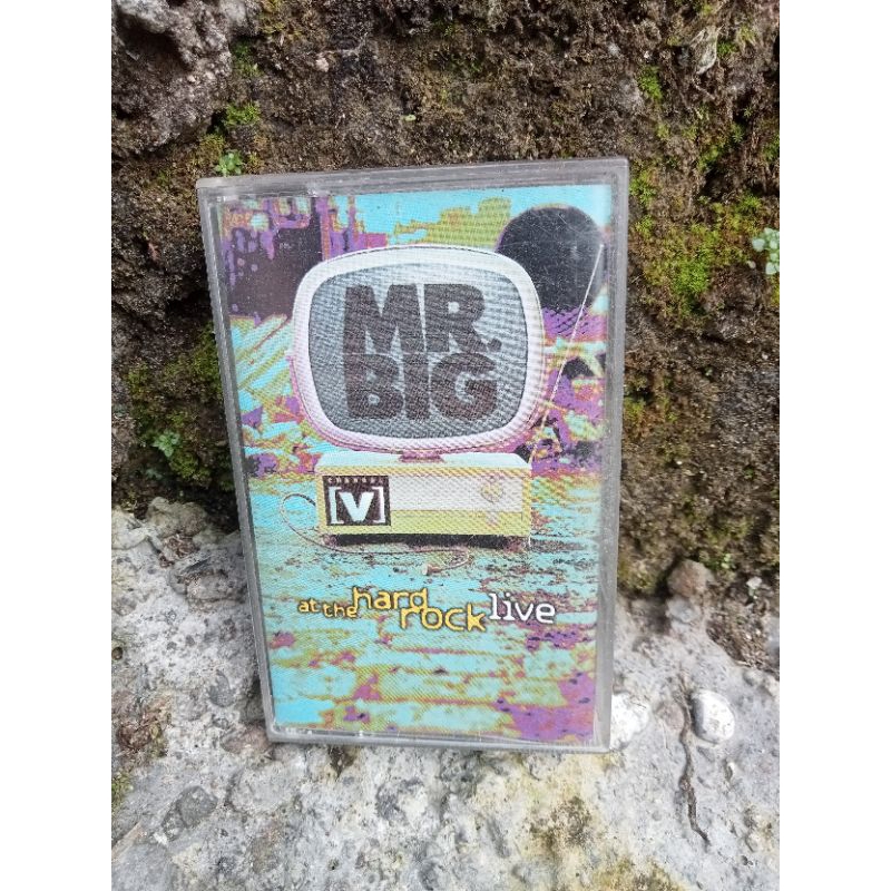 Mr big