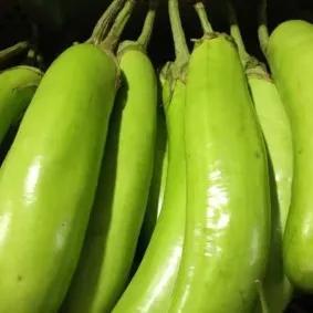 

Terong Hijau 500 Gram