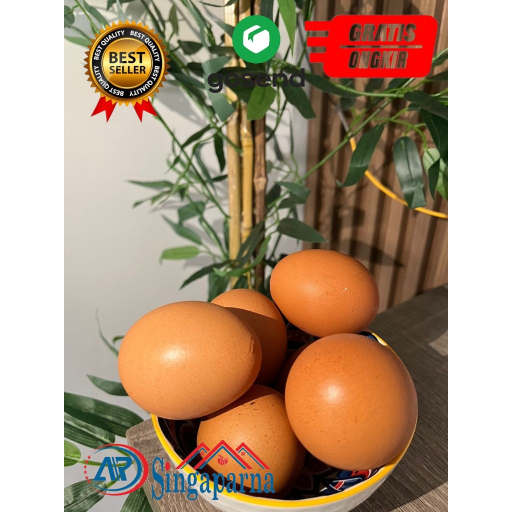 

TELUR AYAM NEGERI FRESH GRADE A /1kg instan