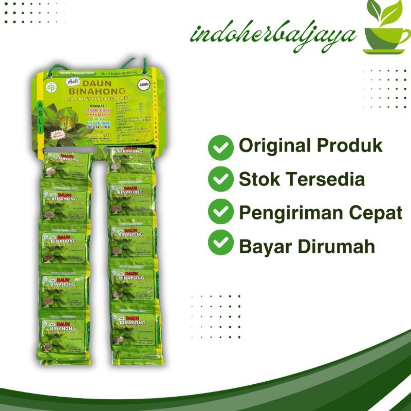 

Kapsul Daun Binahong Original 100% ASLI
