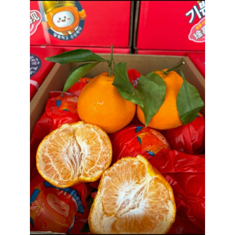 

jeruk dekopon chunjian giftpack