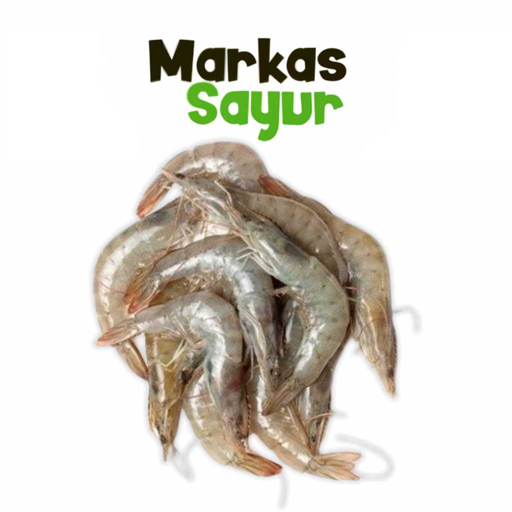 

Udang laut segar - Markas Sayur