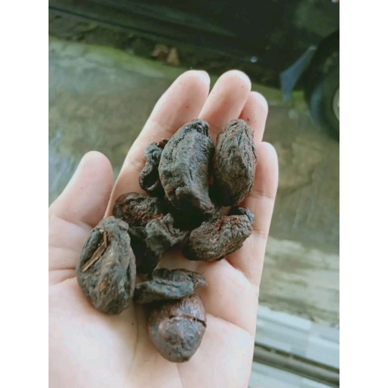 

Asam Kandis
