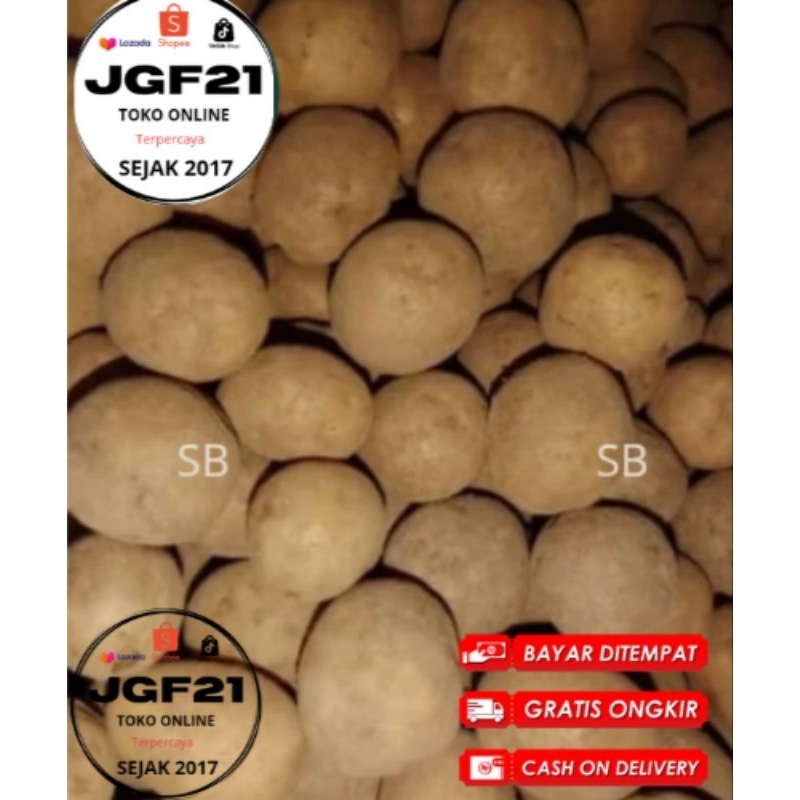 

Bisa COD Termurah No.1- 500Gr kentang dieng Baby Potato