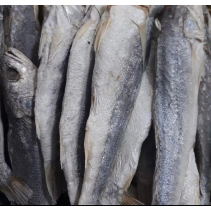 

Ikan Asin SamGe 500 Gram