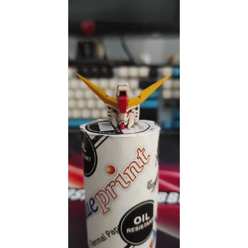 Head MG Destiny Dragon Momoko Dramok Heine