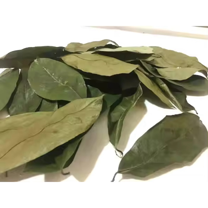 

Daun sirsak kering 300gram cocok untuk obat herbal