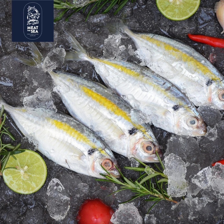 

INSTAN Ikan Selar Fresh DIBERSIHKAN 1 Kg