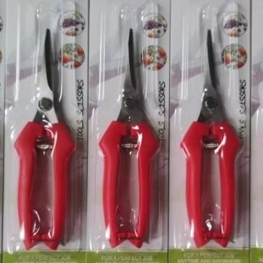 

Gunting Buah Bunga Daun Bonsai Fruit Picking Shears Size M
