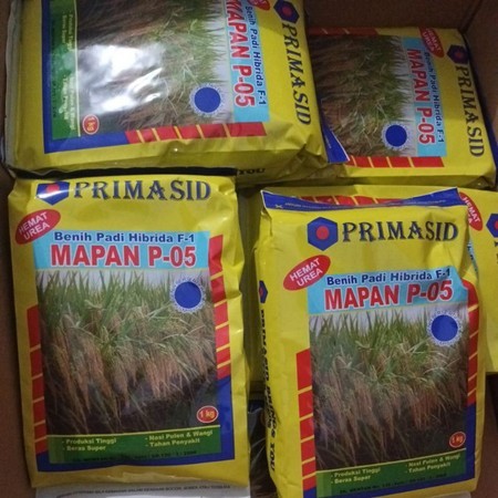 Benih Padi Hibrida Mapan P 05 1 Kg Kemasan Asli Pabrik / Benih Padi Mapan 05 Asli