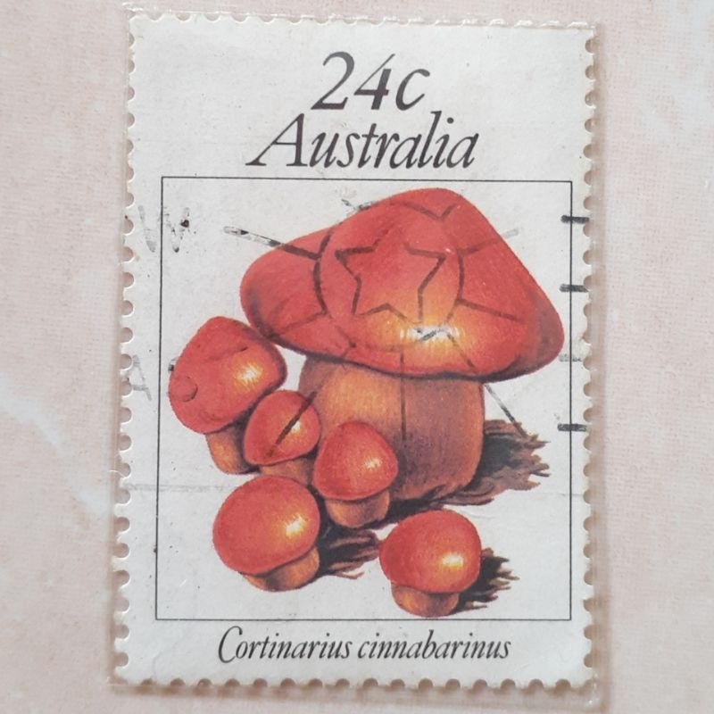 

Perangko Australia Fungi (Cortinarius cinnabarinus) Tahun 1981