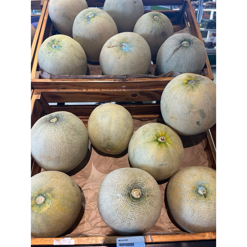 

MELON HIJAU BIASA 2kg-2,5kg