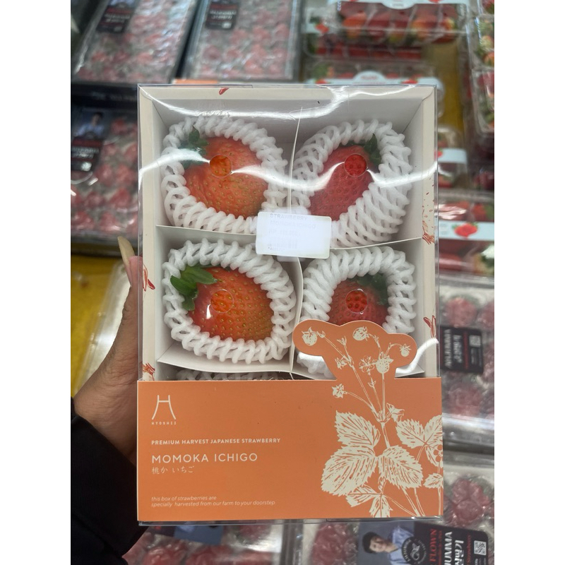 

Strawberry jepang momoka ichigo | pack