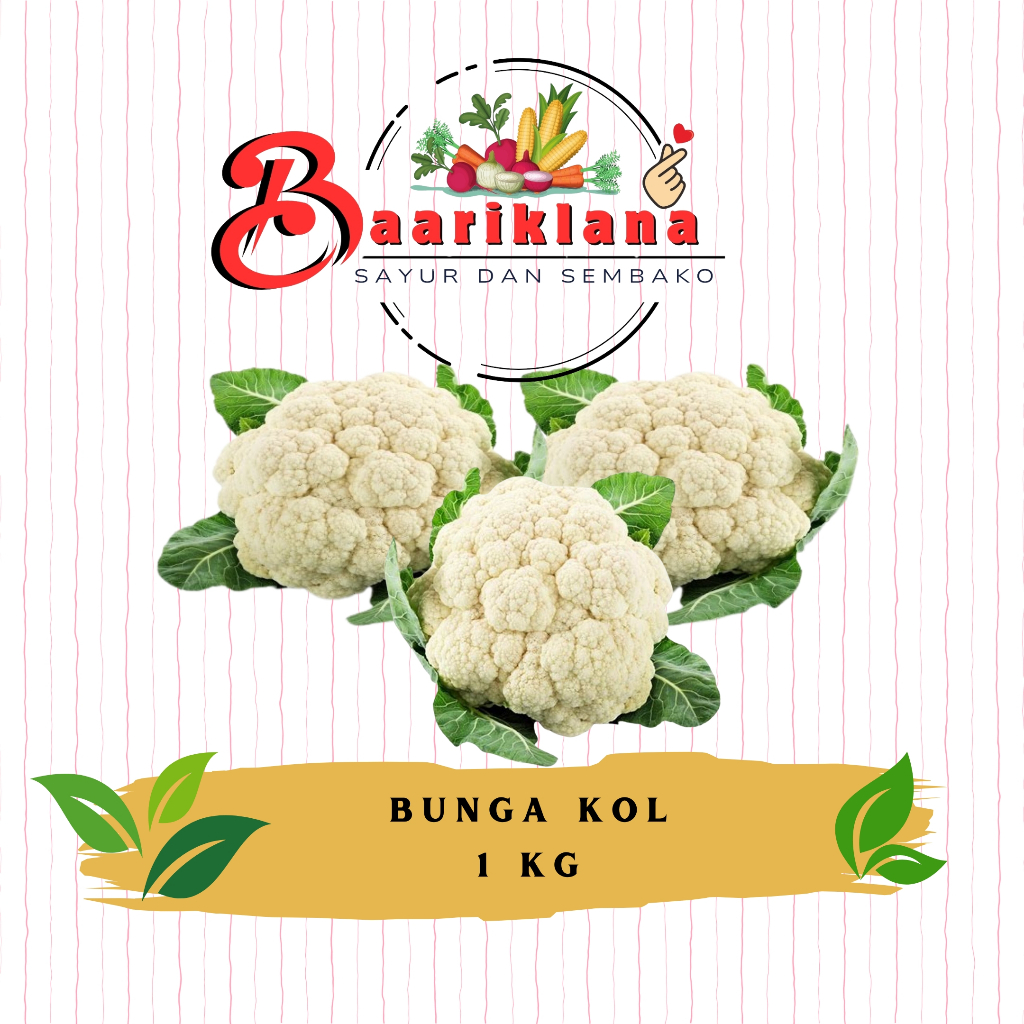 

BUNGA KOL - TOKO BAARIKLANA