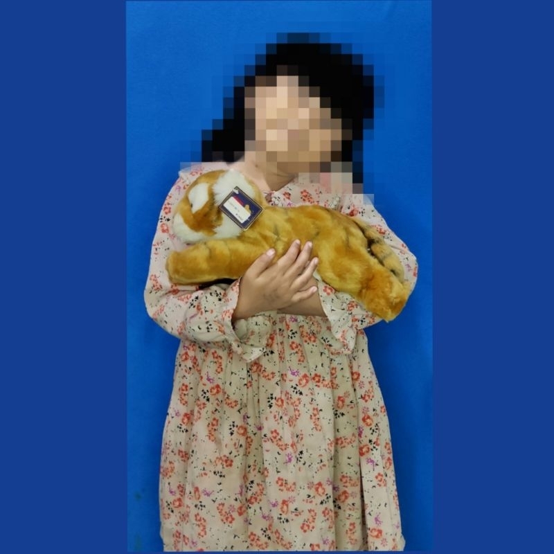 Boneka Harimau Import Original Aurora Classic Tiger Lion Plush Stuffed Toy Stuff Toys Singa Macan pu