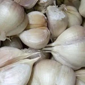 

bawang putih kating 500 gr