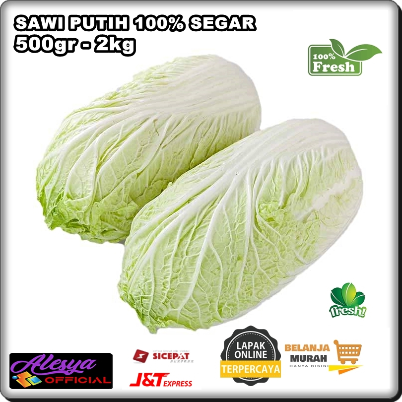 

SAWI PUTIH MURAH 500 gr