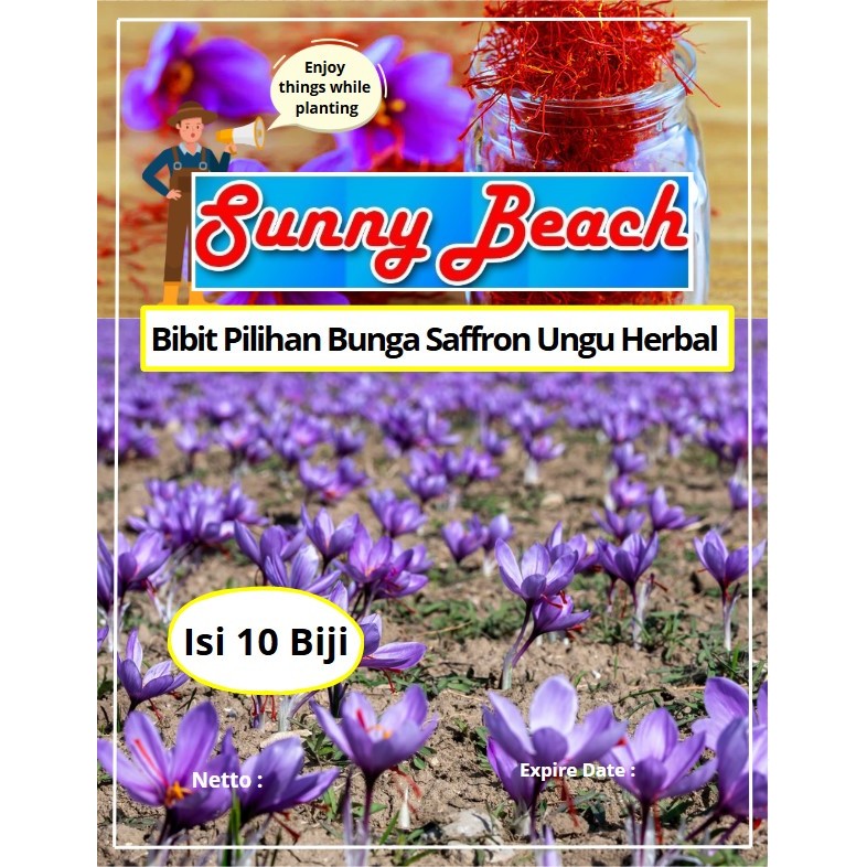 Bibit Pilihan Bunga Saffron Ungu Herbal |Benih Bunga Safron|Bunga Pacar|Bunga Sapron