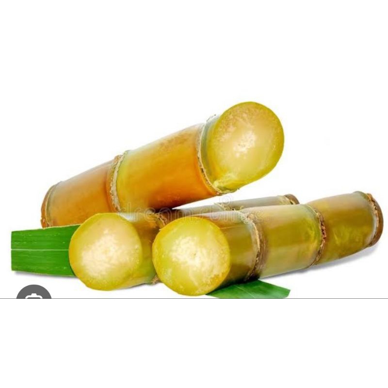

tebu potong berat 1kg
