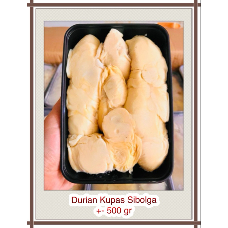 

Durian Kupas Lokal ( Nias /Sibolga / sidikalang / Cane dll ) 500gr
