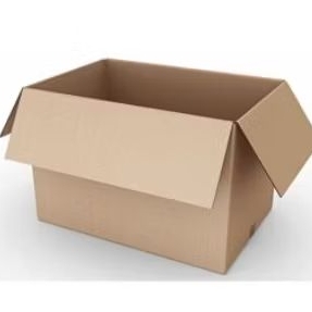 

TAMBAHAN KARDUS DAN BUBBLEWRAP