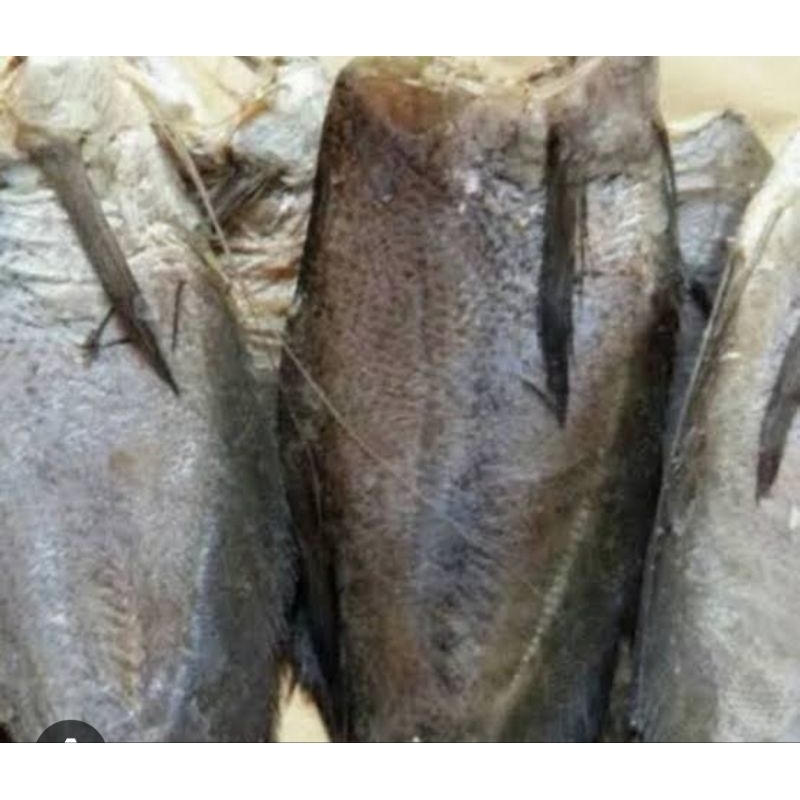 

ikan asin sepat besar 100 gram