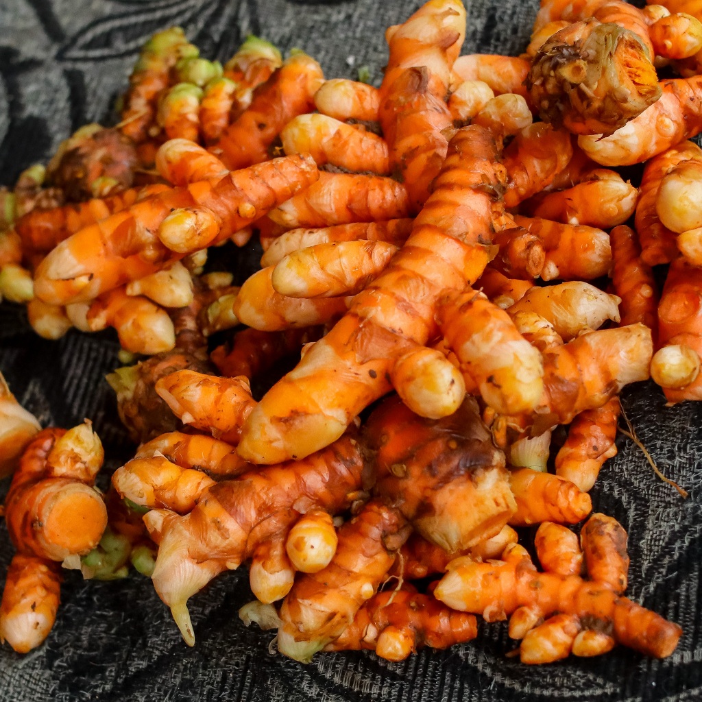 

KUNYIT SEGAR ORGANIK CIAMIS, Langsung Petani, Untuk Jamu, Bumbu Masak & Skincare Alami