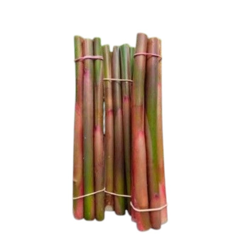 

Batang Kecombrang 1kg Fresh | Batang Honje
