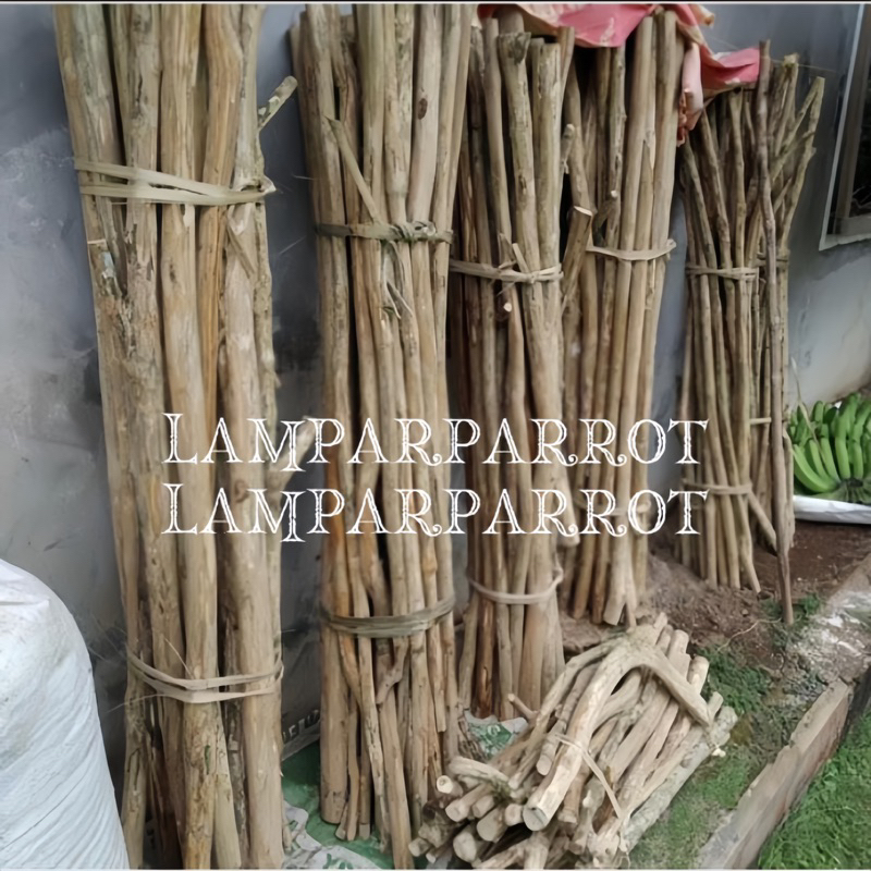 tangkringan kayu kopi untuk burung parrot