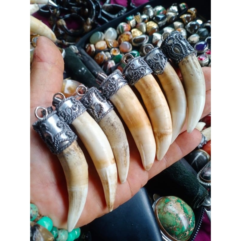LIONTIN TARING BUAYA ASLI 100%