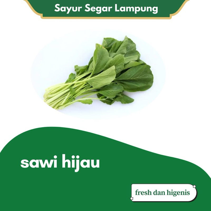 

Sawi Hijau Sayur Segar per ikat